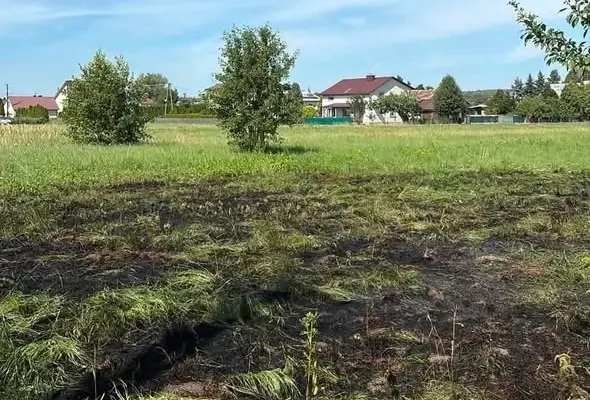 Pożar traw i nieużytków w Kolbuszowej Górnej – strażacy w akcji