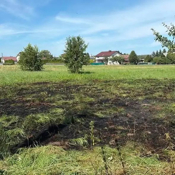 Pożar traw i nieużytków w Kolbuszowej Górnej – strażacy w akcji