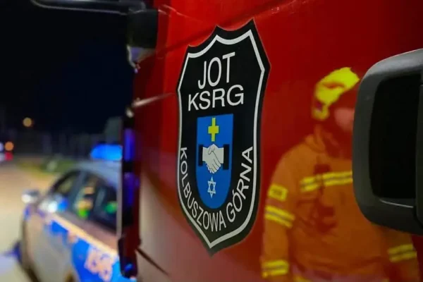 Pożar pozostałości roślinnych w Kolbuszowej Górnej – interweniowały służby