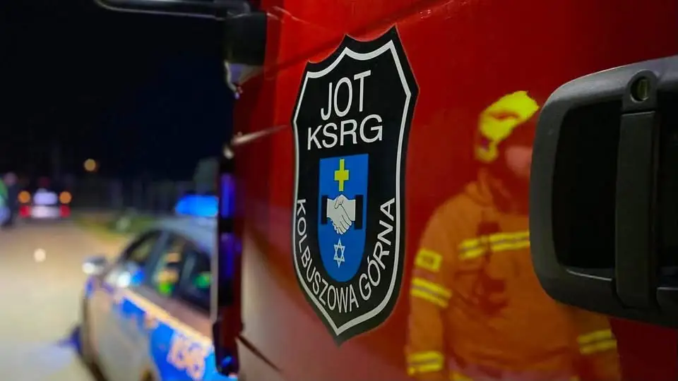 Pożar pozostałości roślinnych w Kolbuszowej Górnej – interweniowały służby