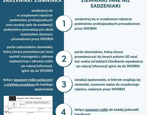 Przemieszczanie ziemniaków z Polski do UE – przypomnienie o zasadach