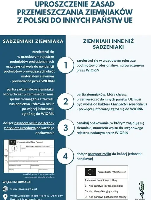 Przemieszczanie ziemniaków z Polski do UE – przypomnienie o zasadach