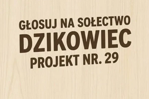 Sołectwo Dzikowiec walczy o głosy w Budżecie Obywatelskim Powiatu Kłodzkiego – projekt nr 29