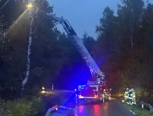 Pochylone drzewa nad drogą w Porębach Dymarskich – interwencja strażaków